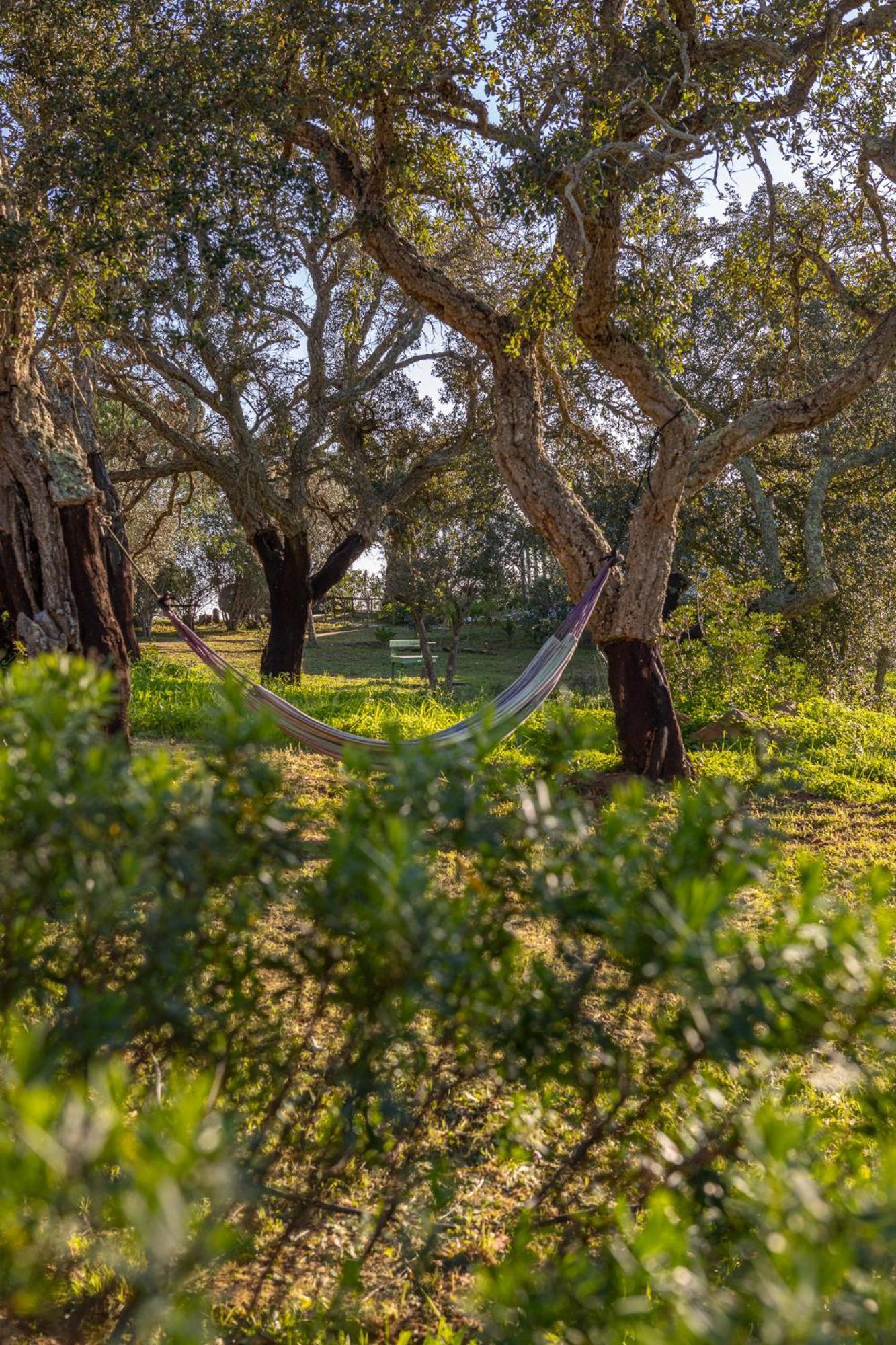 Villa Casavadia Melides Esterno foto